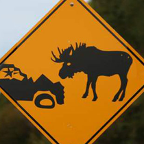 roadside display signs10