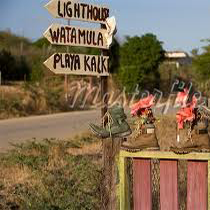 roadside display signs5